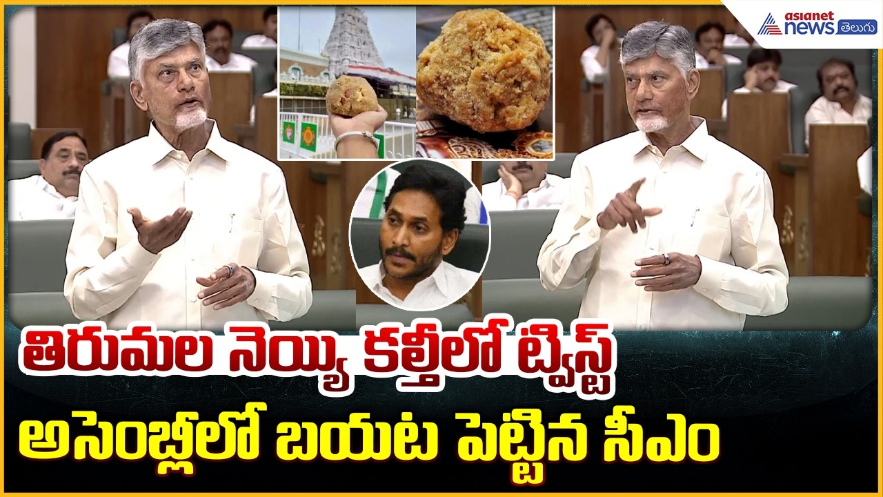 CM Chandrababu Naidu: తిరుమల నెయ్యి కల్తీ లో ట్విస్ట్ అసెంబ్లీ లో బయట పెట్టిన సీఎం| Asianet Telugu