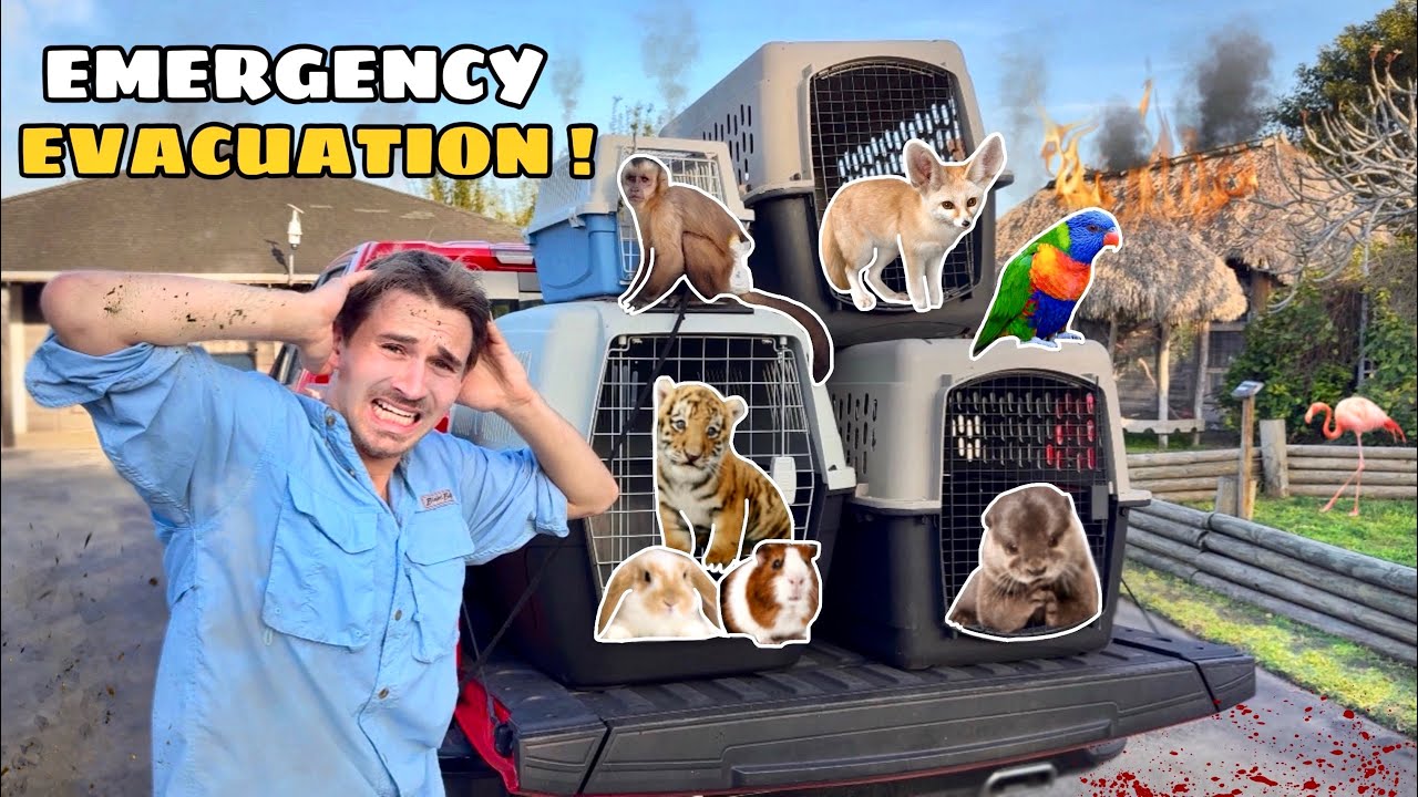 EVACUATING MY ZOO From BURNING DOWN !