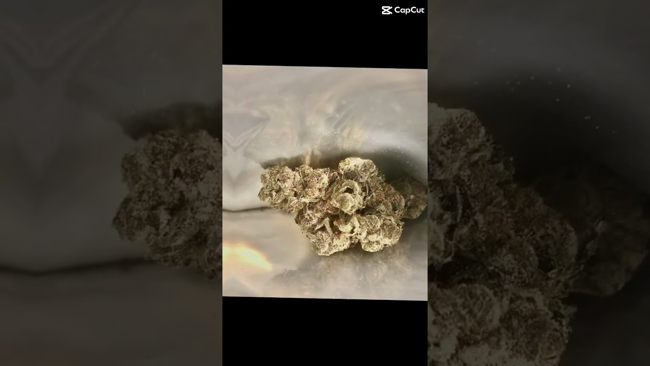 Craft Cannabis..inside the bag😍#craftcannabis #sixitysevensins #yummy #canada #3.5grams #hybrid