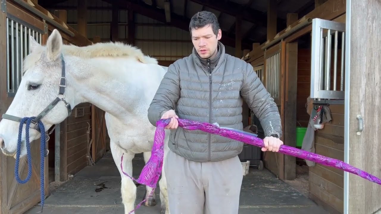 Alibow Kartal Turkish Bow: Mounted Archery