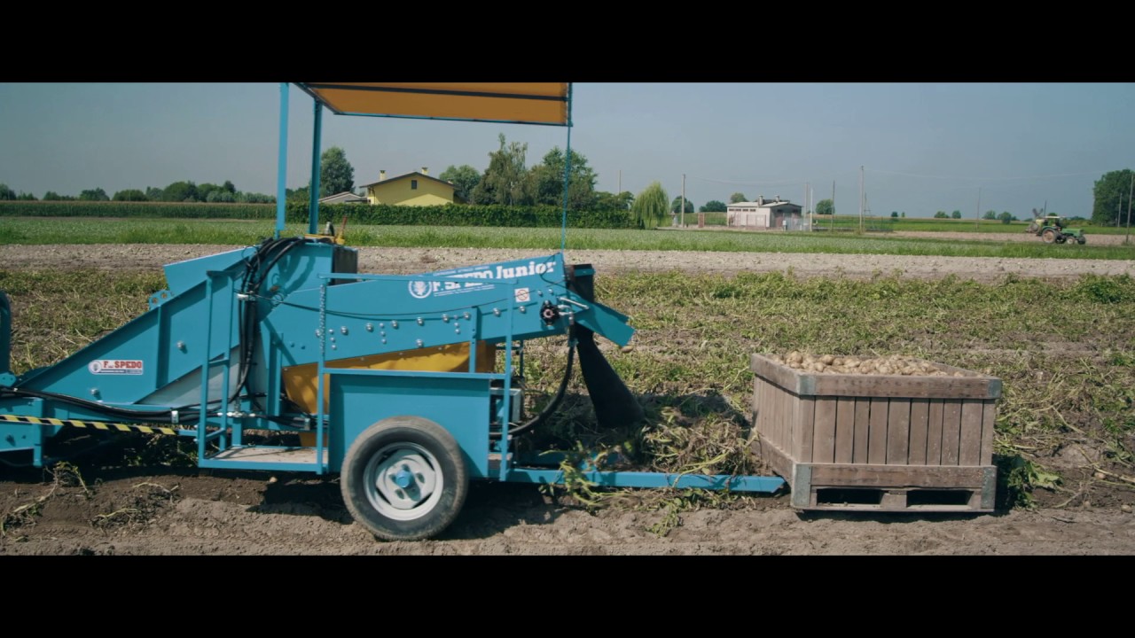 F.LLI SPEDO - SCAVA RACCOGLI PATATE JUNIOR