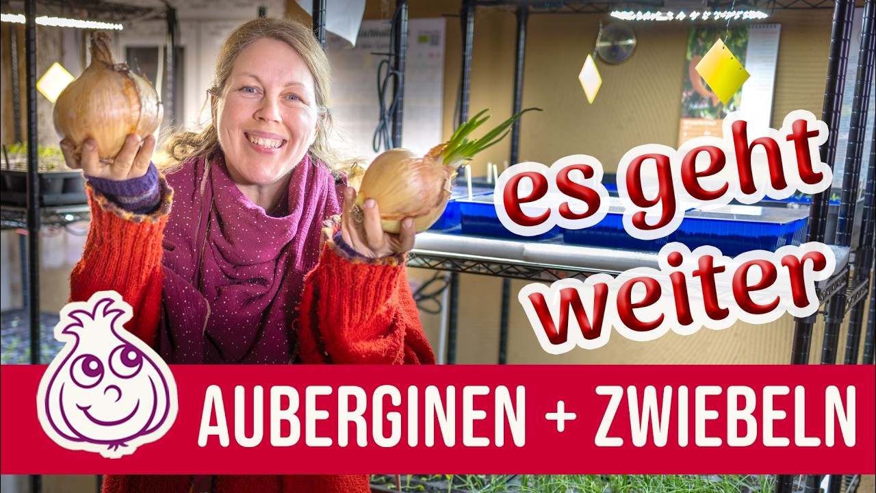 Wie geht es weiter mit den Jungpflanzen im Februar? KI-frei