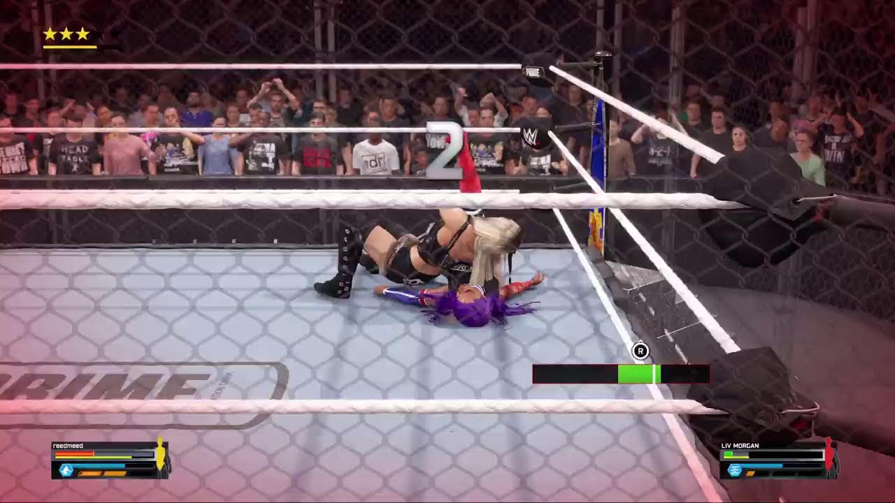 Wwe 2k25