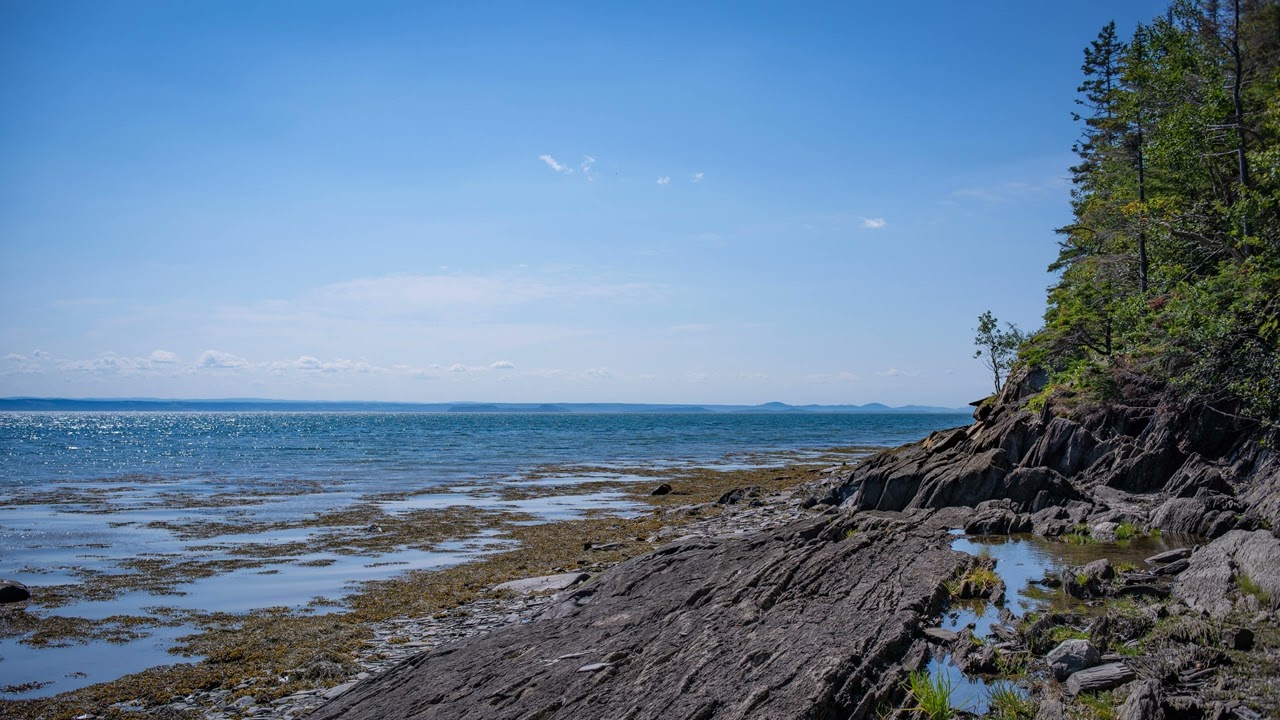 NATURE'S WHITE NOISE • St. Lawrence Estuary • Calm Sounds that Block Distractions