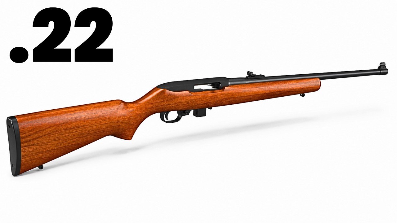 4 Excellent .22 Rimfire Rifles You Can Still Buy for $200 or Less!