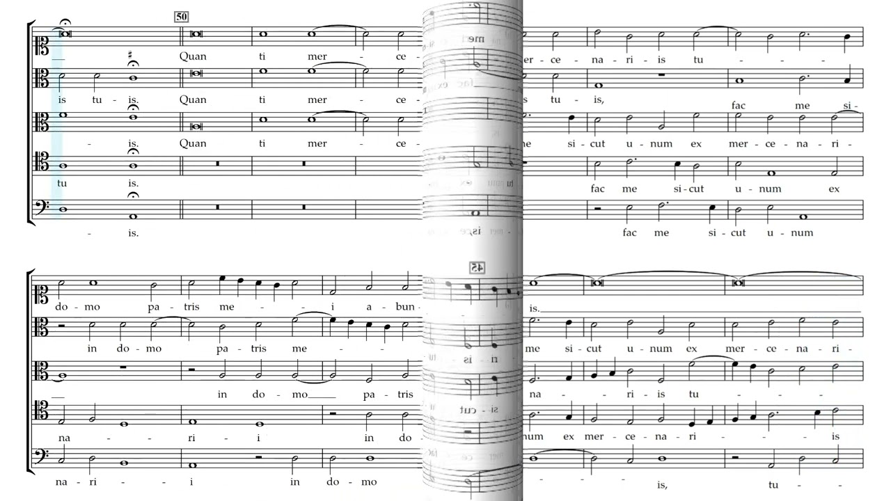 Pater peccavi. Dominique Phinot. The Brabant Ensemble · Stephen Rice