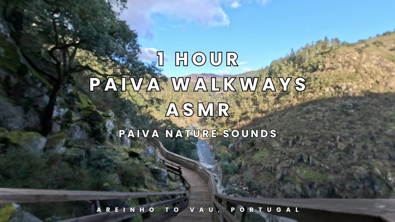 1 HOUR Paiva Walkways ASMR