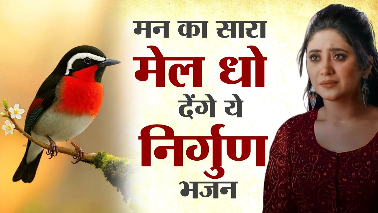 मन का सारा मेल धो देंगे ये निर्गुण भजन | Nirgun Bhajan | Nonstop Nirgun Bhajan |Top 10 Nirgun Bhajan