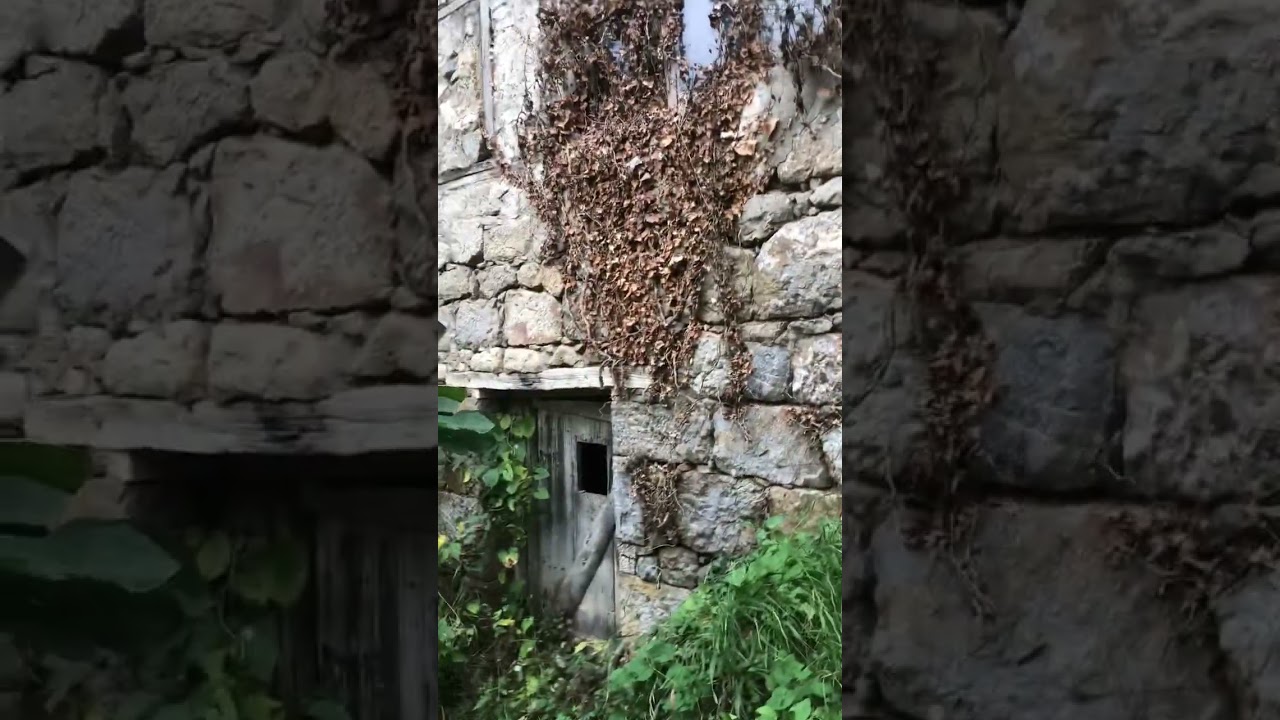 Trabzon Maçka kiremitli köyünde satlık taş bina köy evi