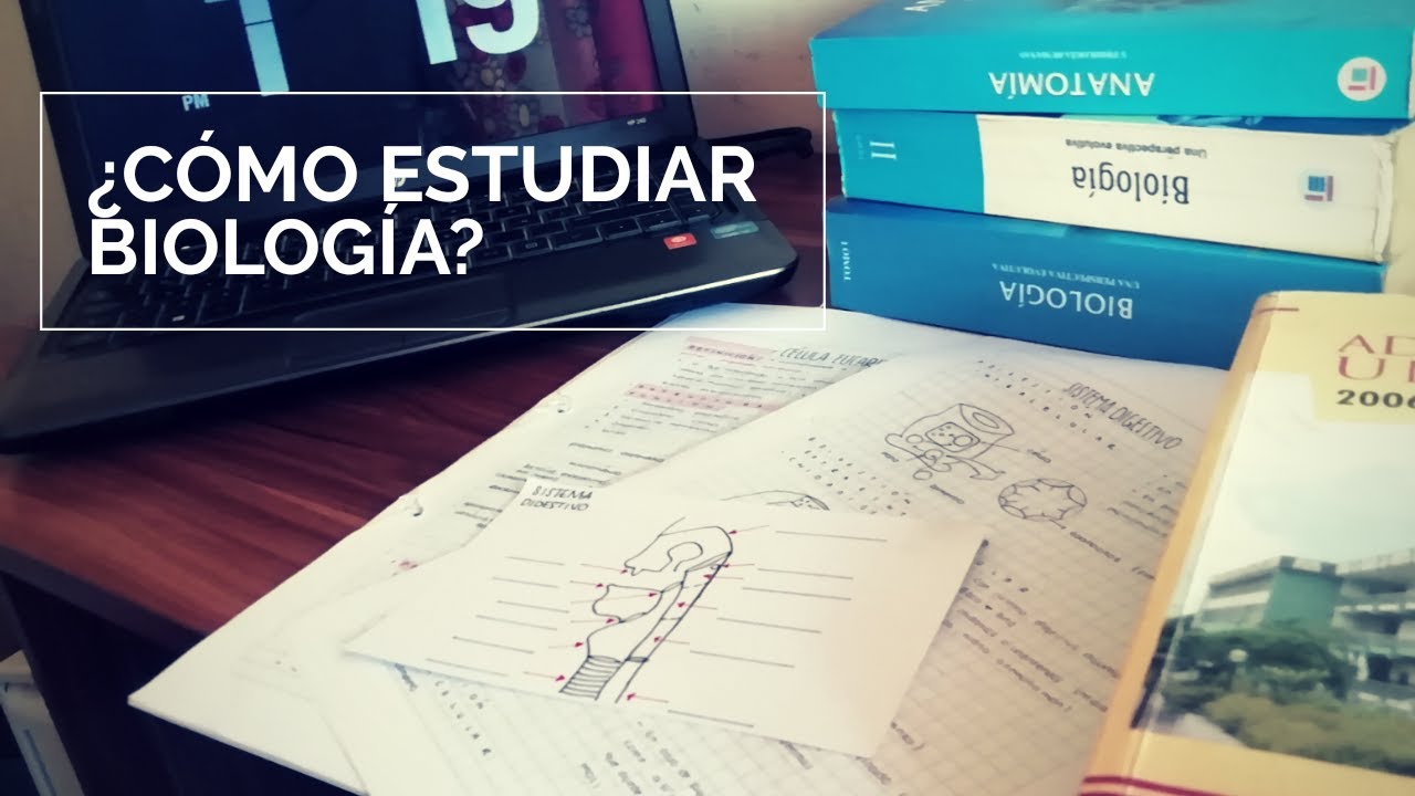 ¿CÓMO ESTUDIO BIOLOGÍA NIVEL PRE? | Cuarentena