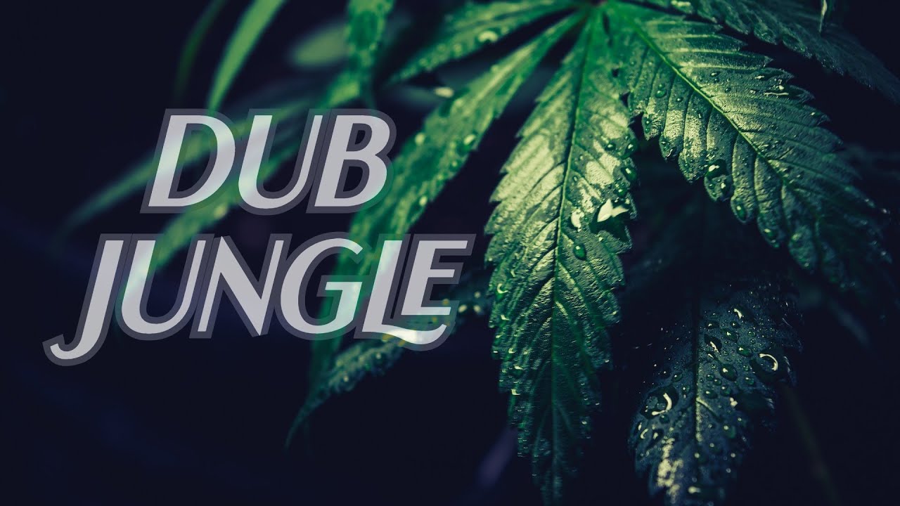 Dub jungle dnb mix (420 2023) vol.  1