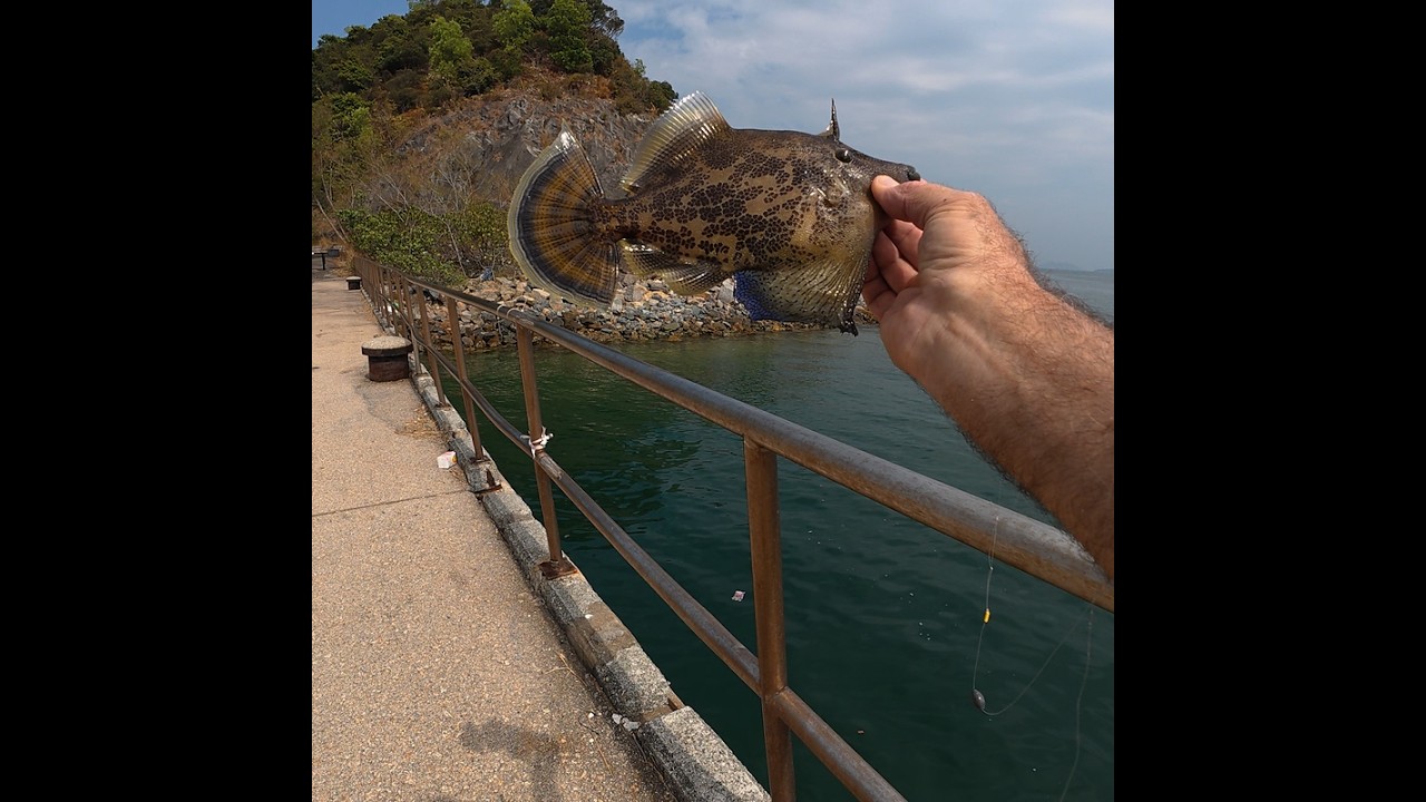 Fishing Tai Mei Tuk, Secondary Dam Pier
