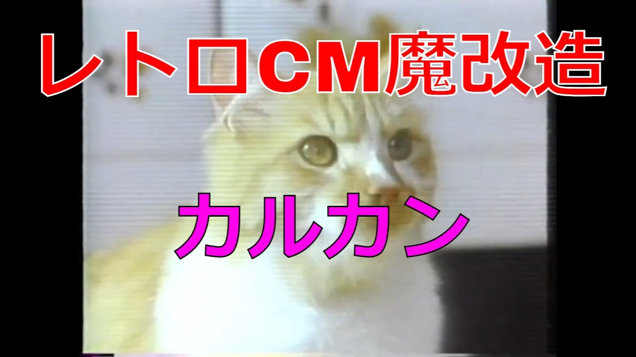 レトロCM魔改造 カルカン【猫まっしぐら 昭和レトロCM魔改造 No.042】