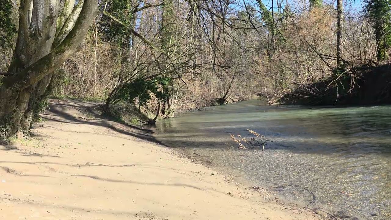 Relaxing by the river in Switzerland