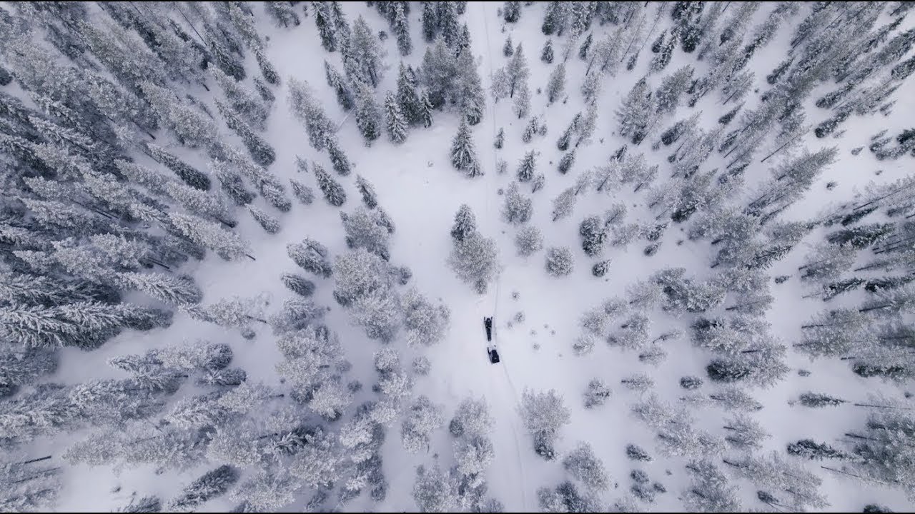 Why we moved to Swedish Lapland - Arvidsjaurs kommun