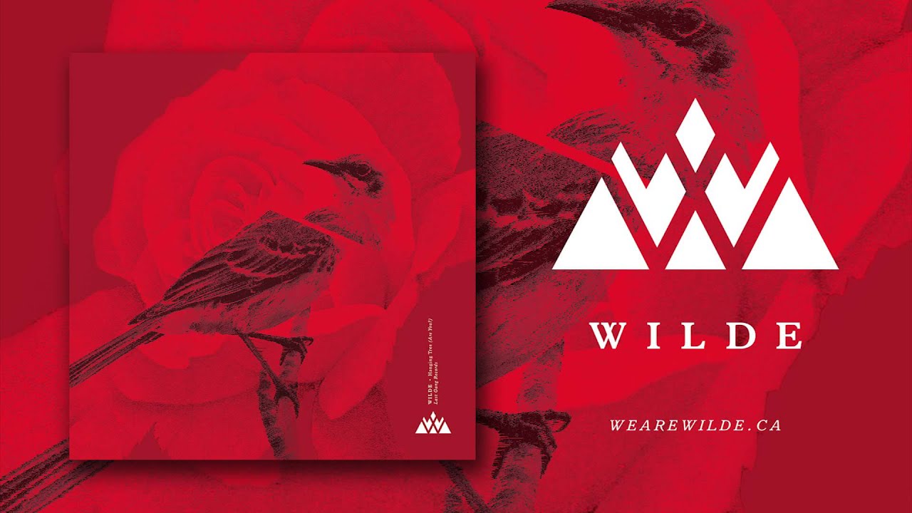 WILDE - Hanging Tree (Are You?)