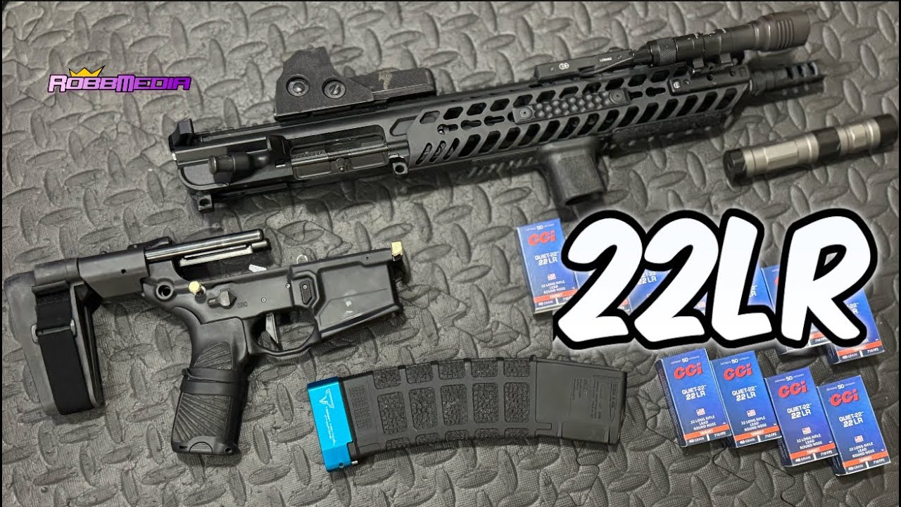 Everyone Should Own a 22LR-AR15‼️