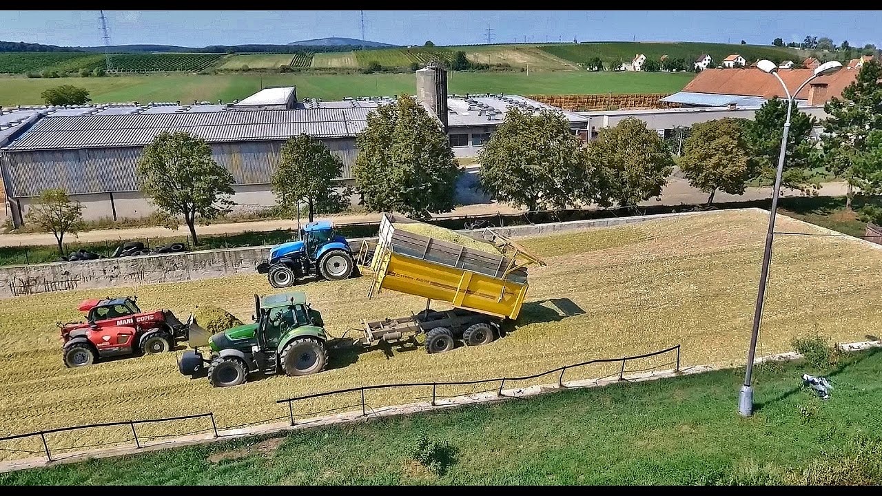 South Moravia CZ ZD Bulhary Silage 2016  FR 780, DF Warrior