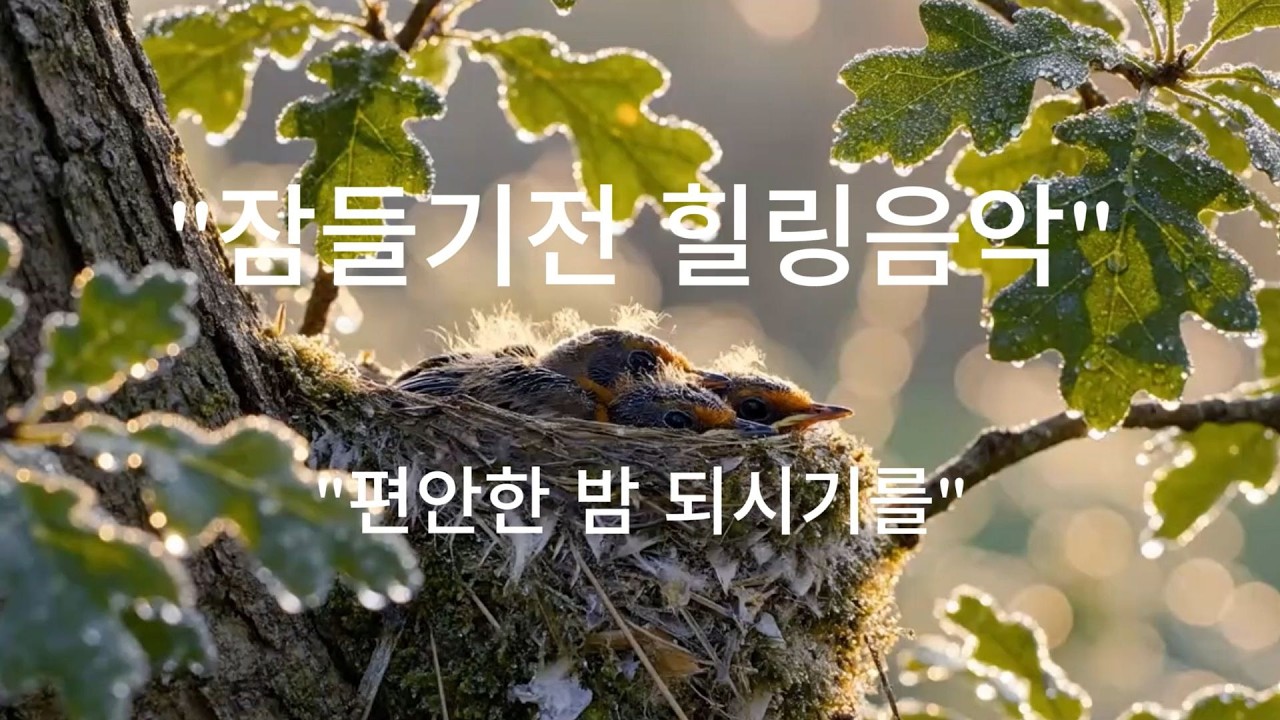잠들기전 힐링음악, 명상음악, 수면음악