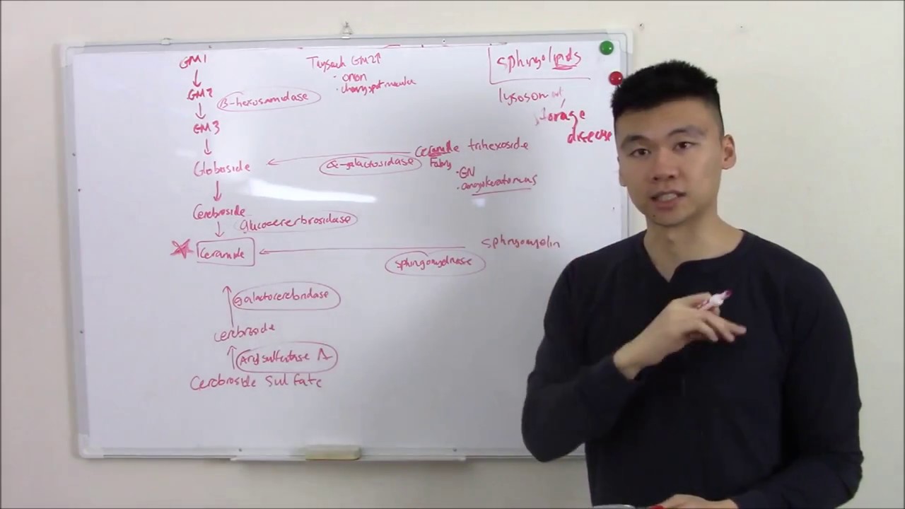 USMLE Biohemistry 9 Lysosomal Storage Diseases