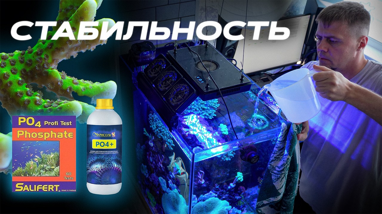 Морской аквариум стабильность