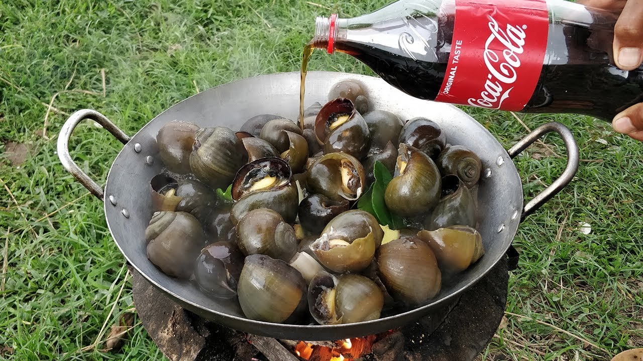 Delicious Field Snail Cooking With Coca Cola / Kdeb Cooking