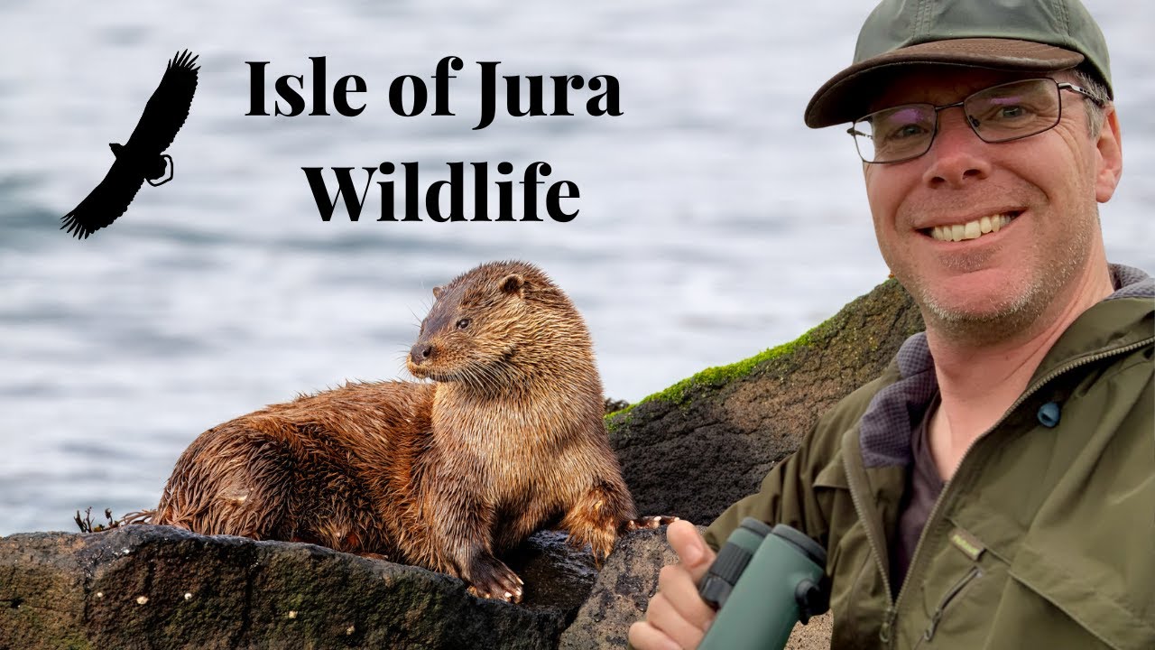Isle of Jura Wildlife