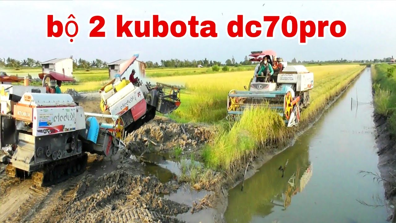 XEM BỘ HAI KUBOTA DC70 BINH CẮT LÚA ĐỒNG VUÔNG TÔM