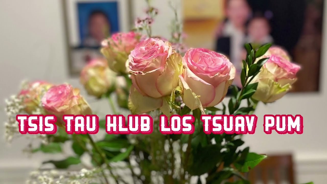 TSIS TAU HLUB LOS TSUAV PUM - Tug Hu:  Chu KZ ..                                 Tug Sau: XF Lis POV