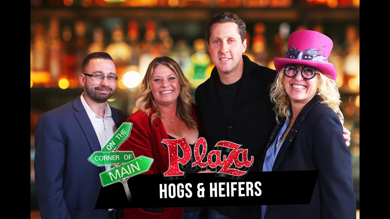 Свиньи и телки: Новые начинания на площади