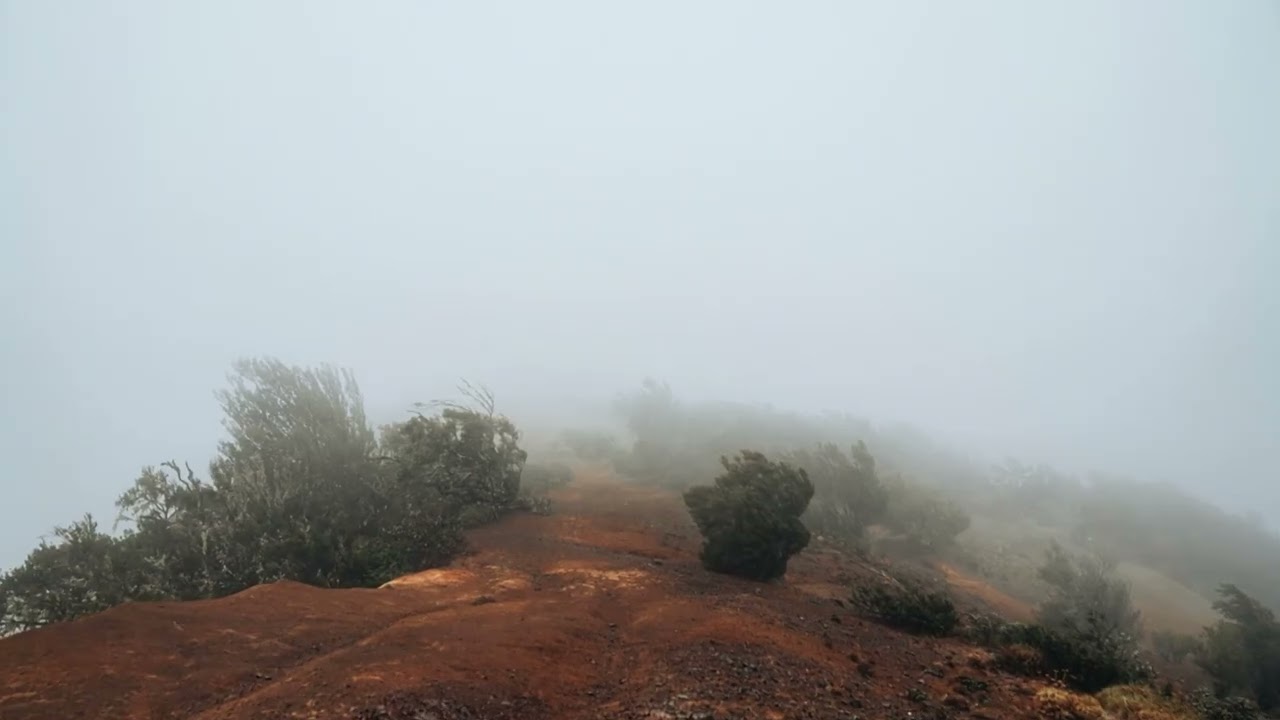 Vallehermoso, un entorno mágico 