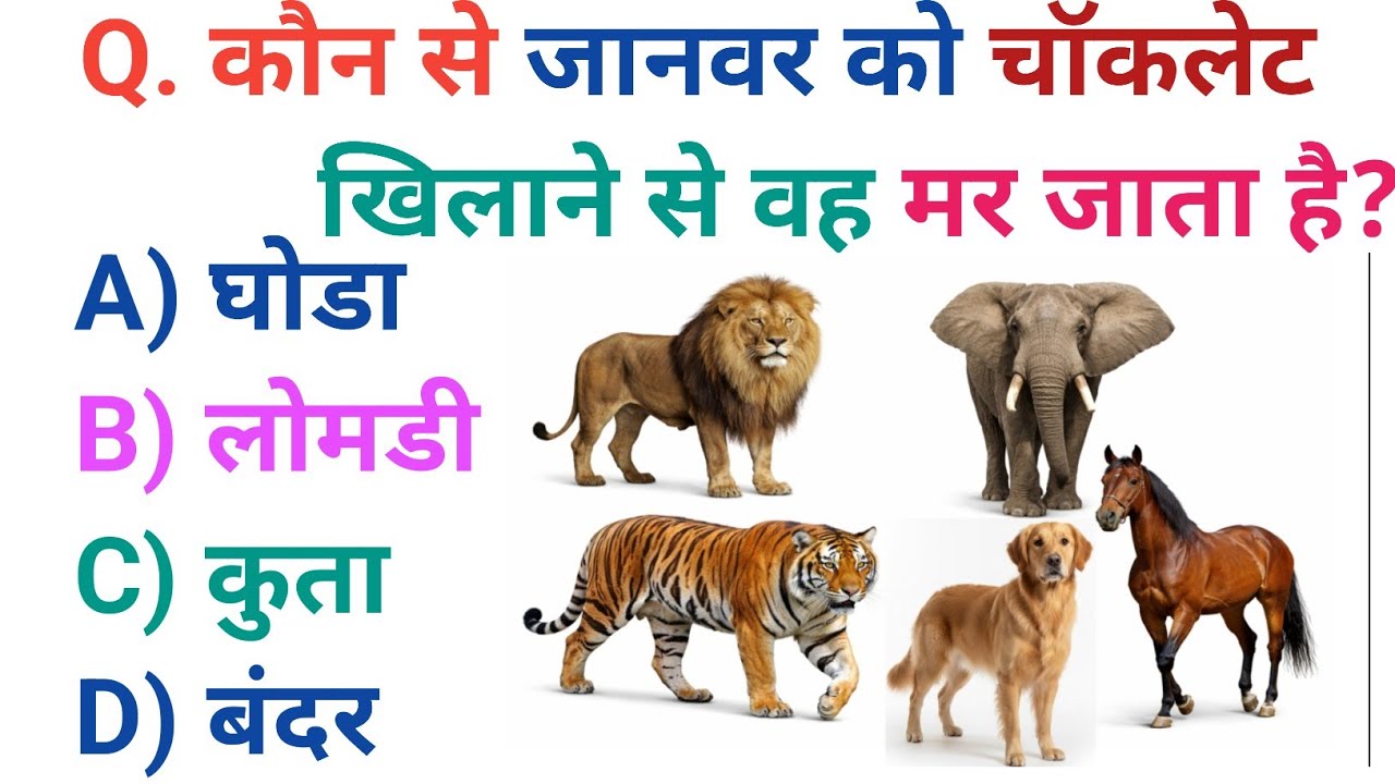 GK Question || GK In Hindi || GK Question and Answer || GK Quiz || Brainworkgkquiz