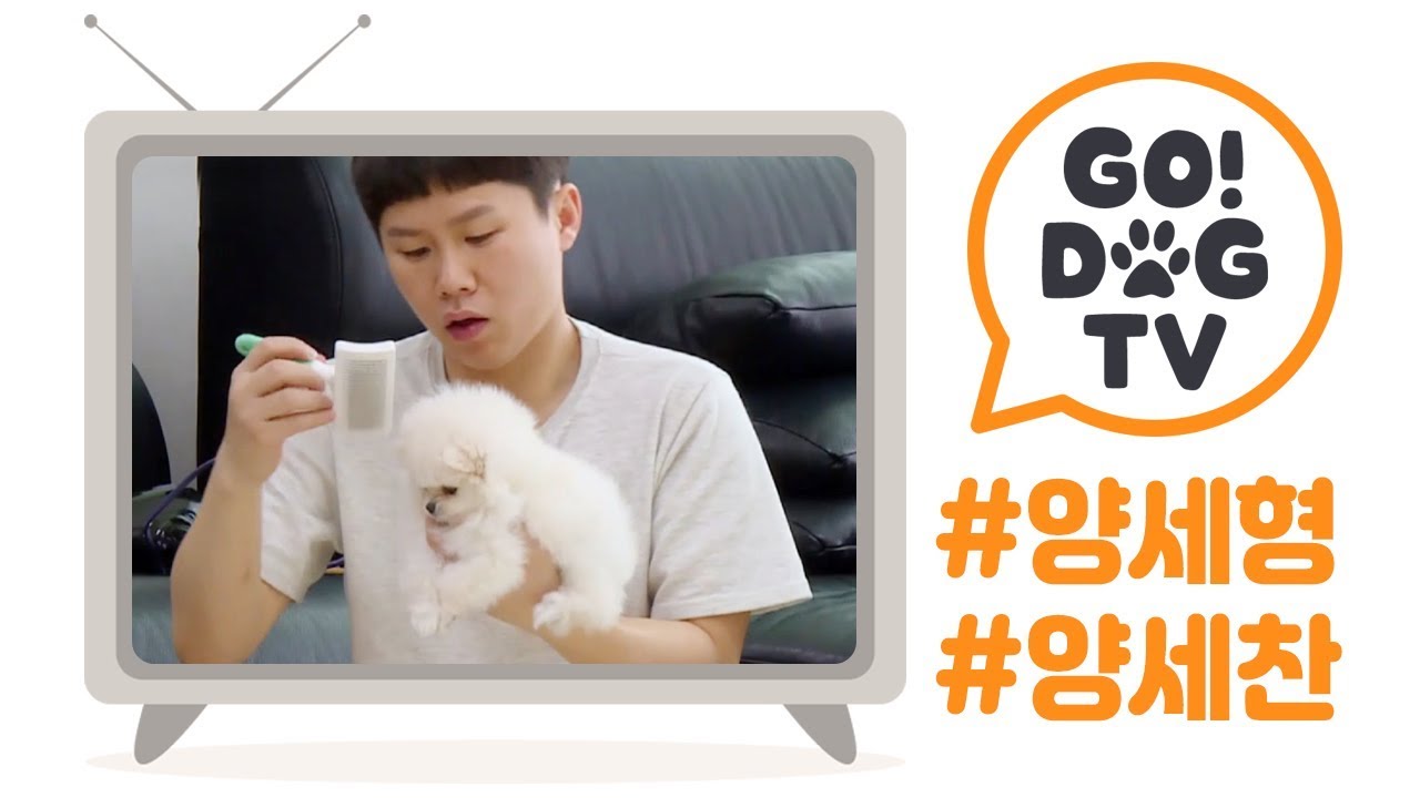 [고독TV] 초보 개밥남 세형&세찬 형제의 리얼 스토리 l 개밥주는 남자