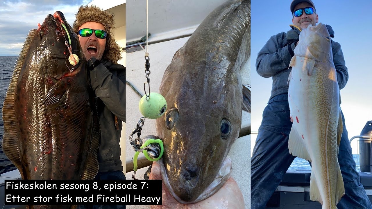 Fiskeskolen sesong 8, episode 7: Etter stor fisk med Fireball Heavy