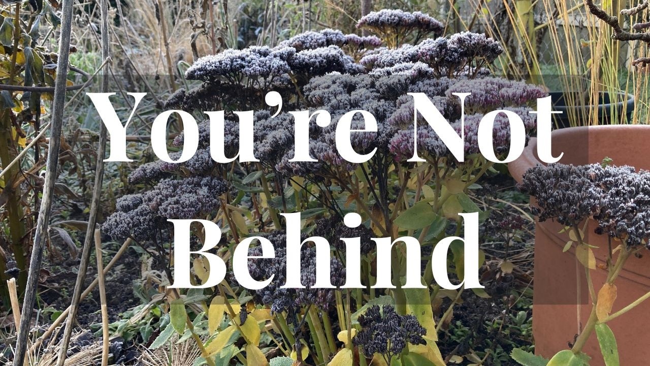 You’re Not Behind — You’re in a Different Season