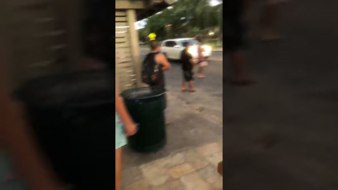 Waikiki Beach fight mid day!  #hawaii #shorts #youtubeshorts #trending #viral #look