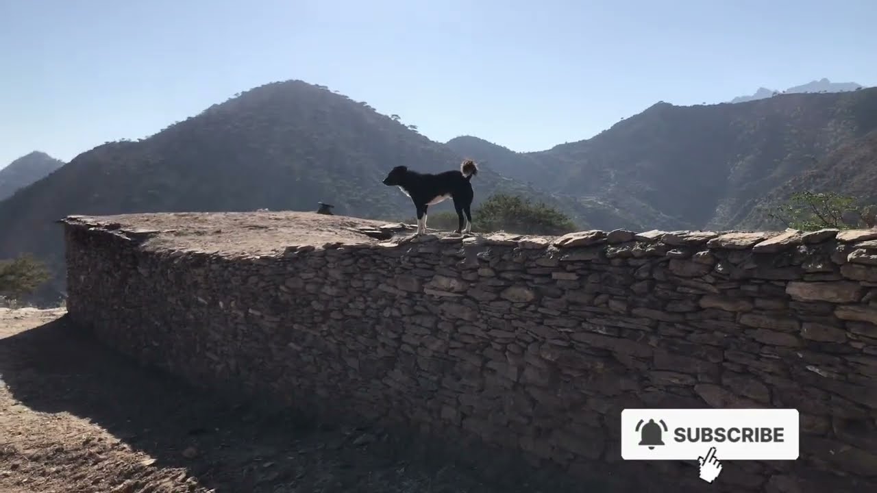 ጎቦታት  ኢሮብ part 2