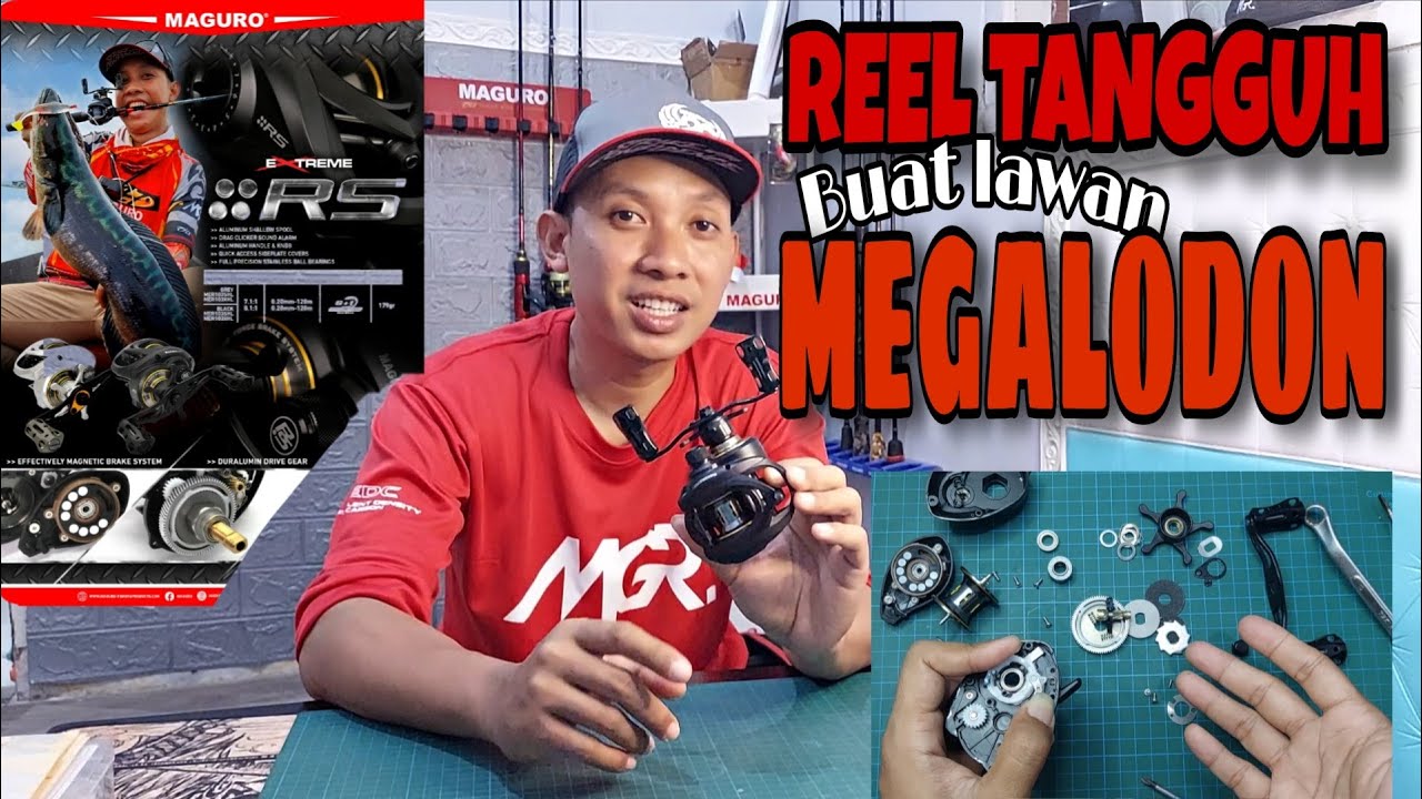 MAGURO RS REEL BAITCASTING MEDIUM BADAG DAN TERUJI KUAT MELAWAN BABON TOMAN MEGALODON