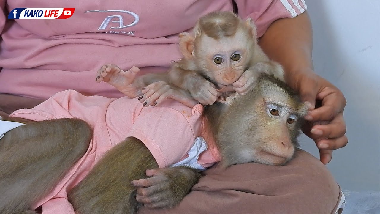 Baby Luka Disturbing Mommy Luna Take A Nap On Grandma's Lap