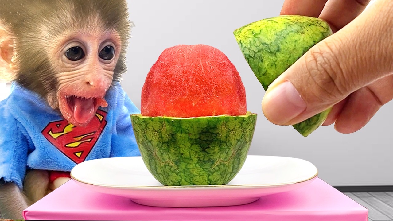 Monkey Baby Shark | Nursery Rhymes & Kids Songs |Bobby Kids Songs