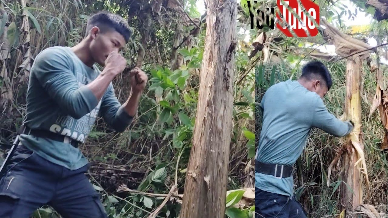 Jungle ka saphar|| Gkaivlogs🇮🇳