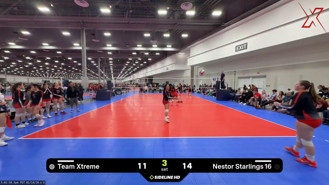 Team Xtreme @ Nestor Starlings 16 (2026.02.14)