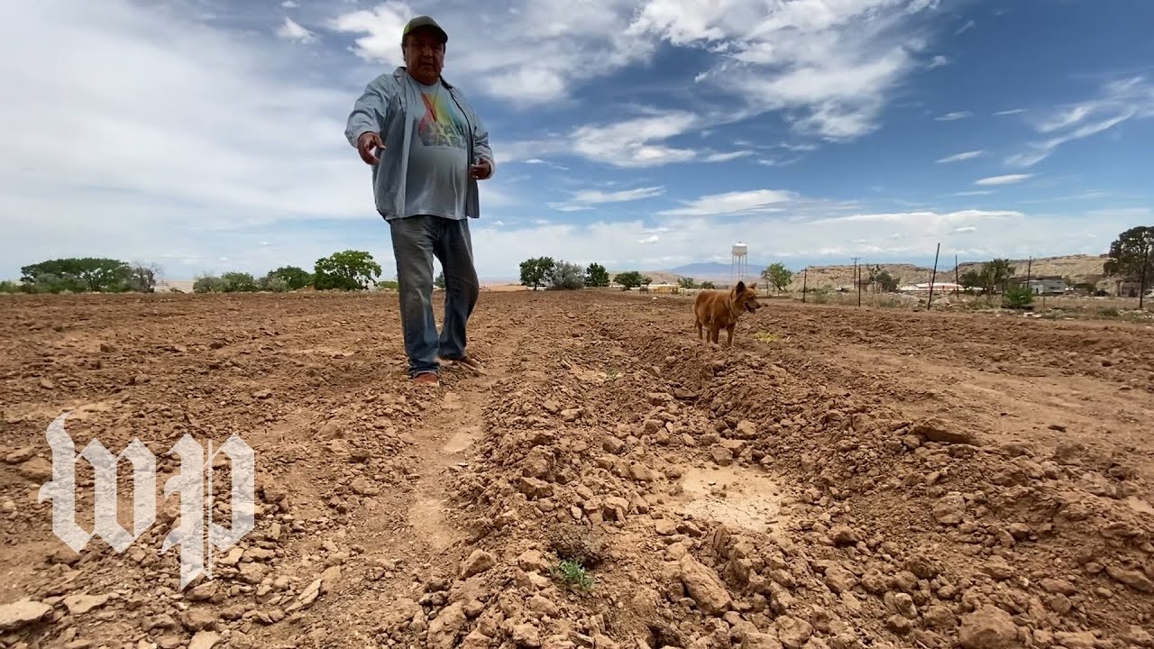 Many Navajo turn to traditional farming amid coronavirus | Voices from the Pandemic