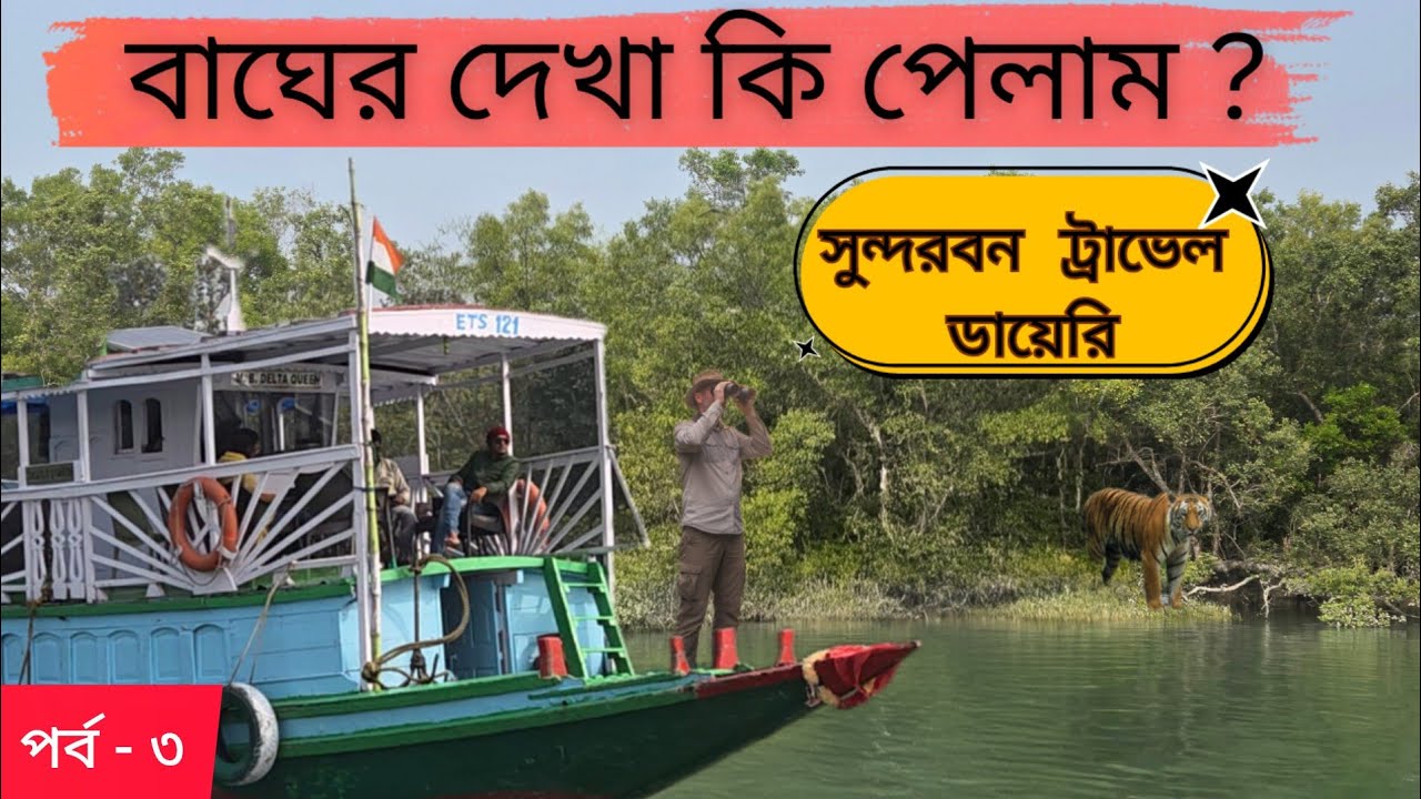 সুন্দরবন ভ্রমণের শেষ দিন: রোমাঞ্চকর ক্যানোপি ওয়াক ও বাঘের খোঁজ! 🐅🛶