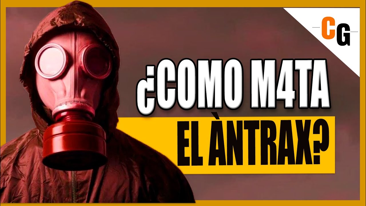 ANTRAX el Arma Biologica MAS TEMIDA- ¿Como Afecta a nuestro Cuerpo? - FISIOPATOLOGÍA del CARBUNCO