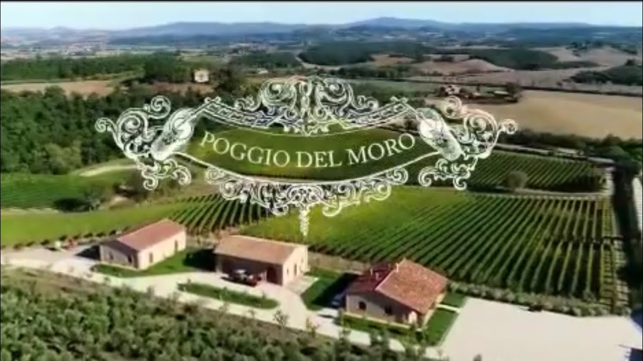 Cantina Poggio del Moro
