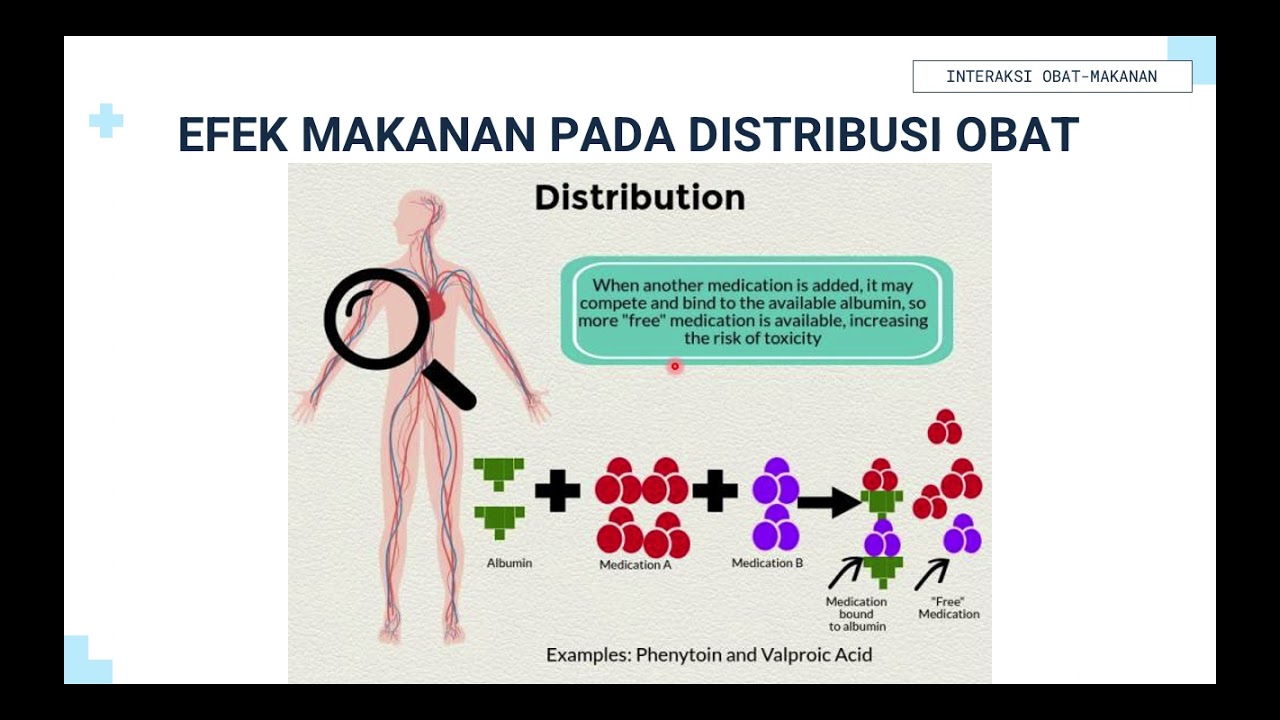 Mekanisme Interaksi Makanan Terhadap Obat