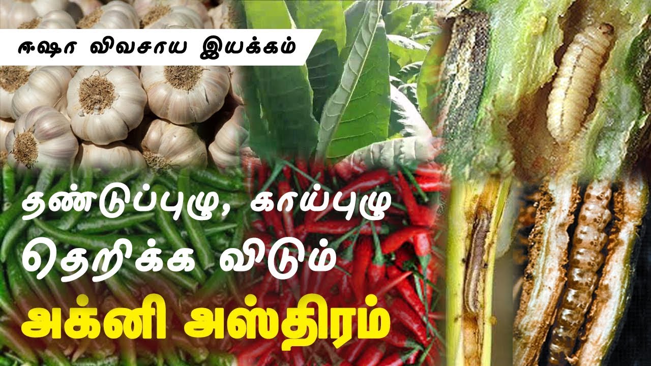 அக்னி அஸ்திரம்_Agni Ashthram