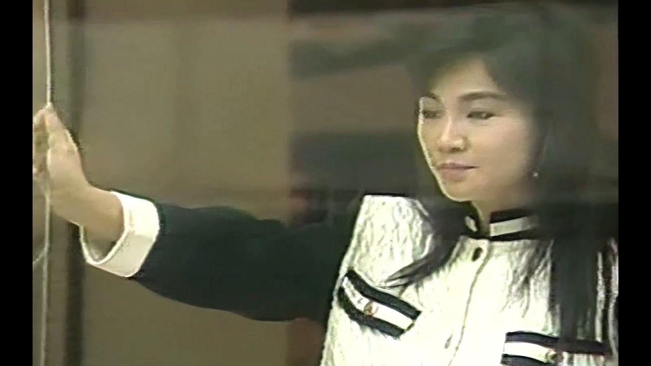 馬兆駿1987寫給鳳飛飛的《什麼樣的你》+2009演唱會安可