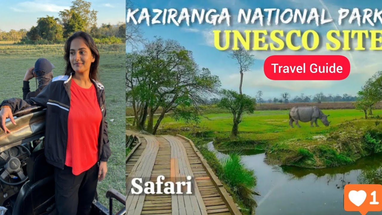 Kaziranga National Park💚|How to plan a trip to Kaziranga|| Kaziranga Trip full guide💕